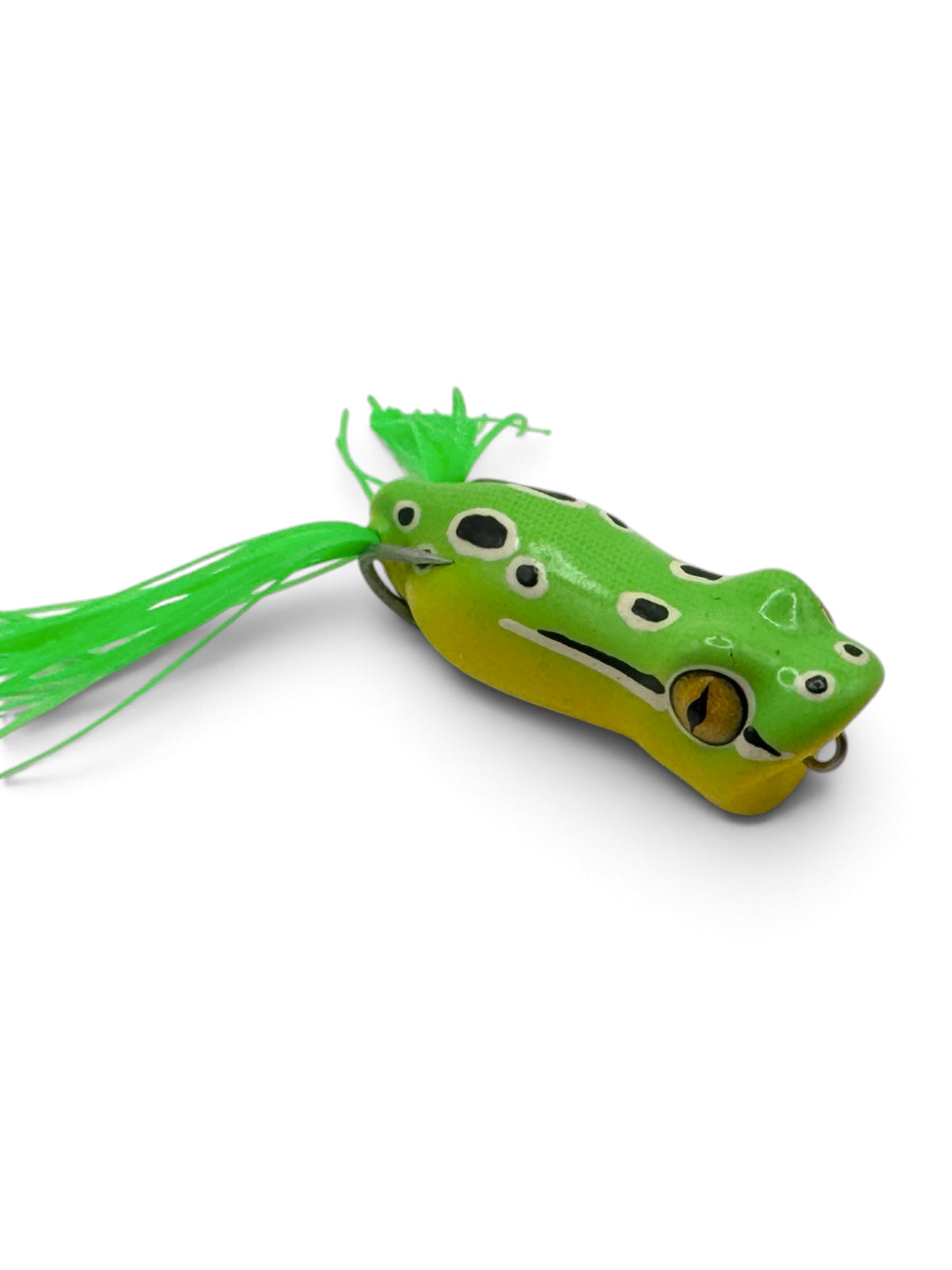 B2 Popping Frog
